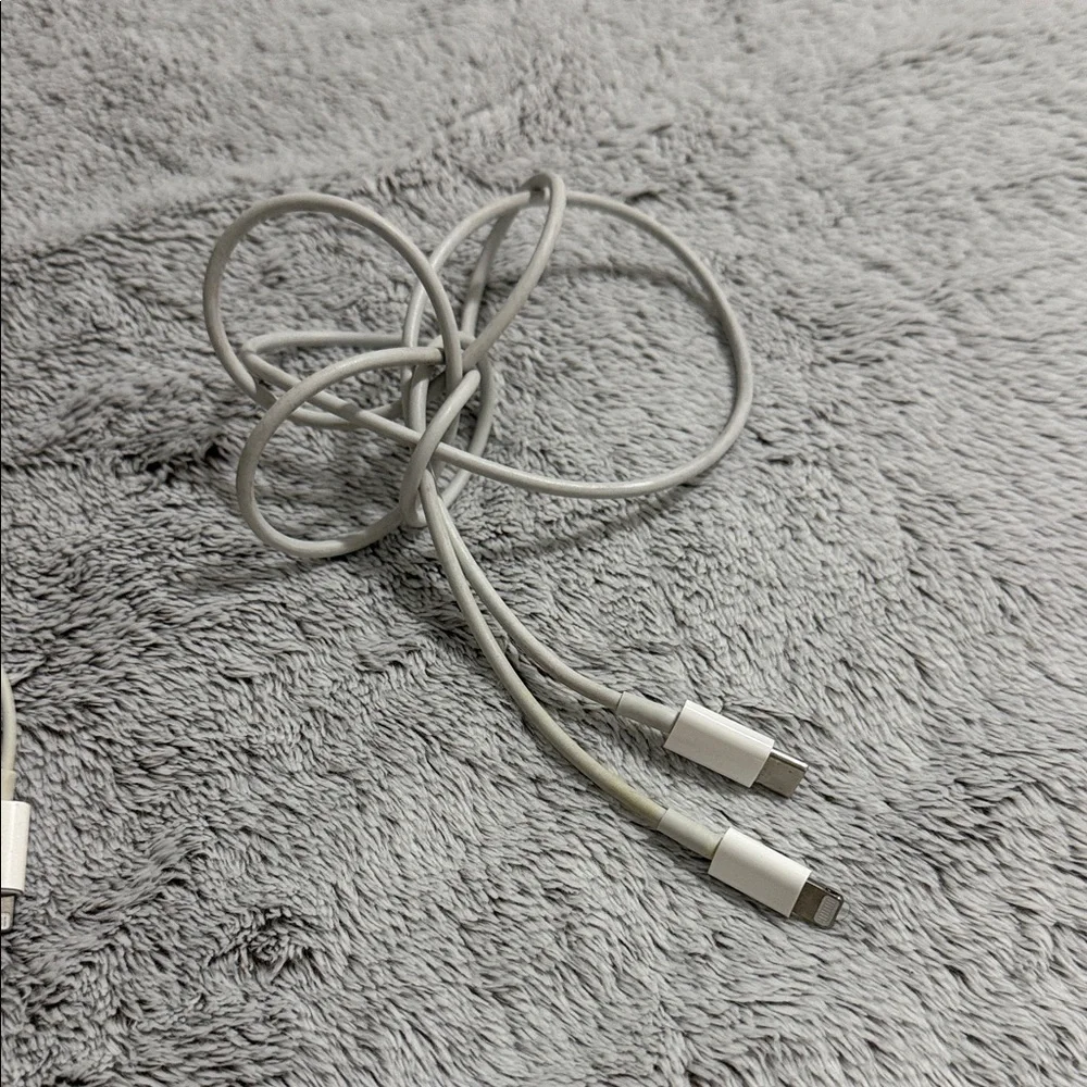 Earbuds & Lightning charger cable